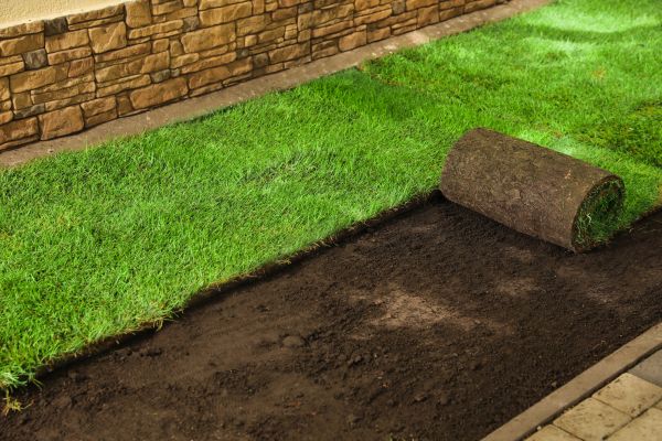Sod Delivery Service - Sod Delivery Service Odessa, Texas