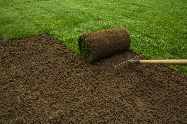 Sod Laying - Sod Laying Odessa, Texas