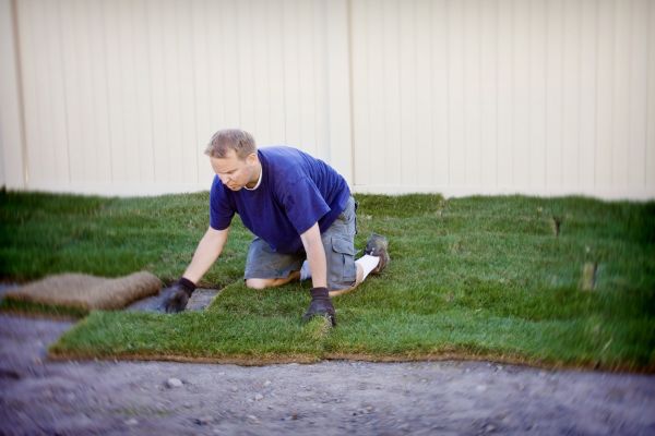 Sod Patching - Sod Patching Odessa, Texas