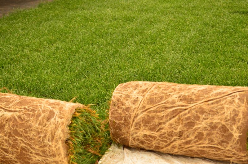Lush Sod Lawn