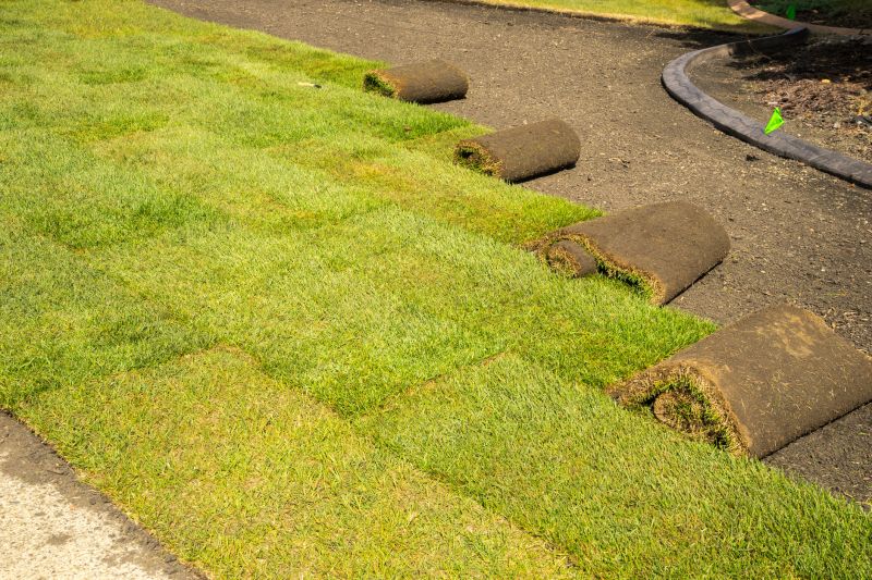 Lush Green Sod Installation